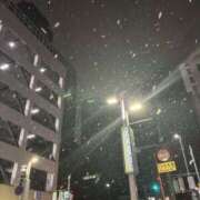 ヒメ日記 2026/01/12 00:49 投稿 望月 名古屋デッドボール