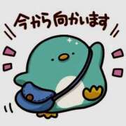 ヒメ日記 2026/03/05 11:06 投稿 望月 名古屋デッドボール