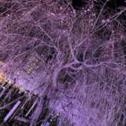 ヒメ日記 2026/04/02 20:37 投稿 望月 名古屋デッドボール