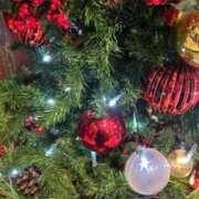 ヒメ日記 2025/11/28 11:51 投稿 つばき 吉祥寺ミセス・シンデレラ（シンデレラグループ）