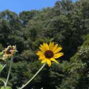 ヒメ日記 2026/01/31 14:46 投稿 希帆【きほ】 輝女