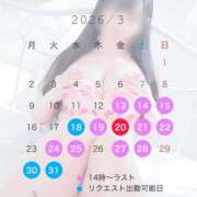 ヒメ日記 2026/03/11 11:15 投稿 このは スチュワーデス