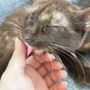 れん 投稿遅くなってすみません:( ;´꒳`;): 八王子デリ倶楽部