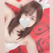 ヒメ日記 2025/06/03 20:27 投稿 カリン バニーコレクション新潟店