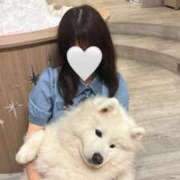 ヒメ日記 2025/07/21 17:21 投稿 カリン バニーコレクション新潟店