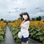 ヒメ日記 2025/08/17 11:01 投稿 カリン バニーコレクション新潟店