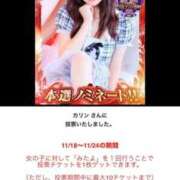 ヒメ日記 2025/11/23 17:09 投稿 カリン バニーコレクション新潟店