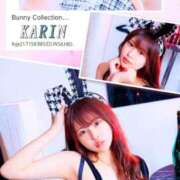 ヒメ日記 2025/12/10 23:46 投稿 カリン バニーコレクション新潟店