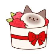 ヒメ日記 2025/06/05 17:07 投稿 はゆ フェアリー【都城店】