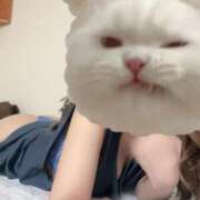 ヒメ日記 2025/07/07 08:33 投稿 みやび LEXE ～レグゼ～