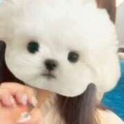 いく/動画撮影★即尺 待ってるよん♡ 10代、20代専門ハレンチ倶楽部　姫路店