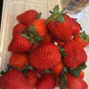 ヒメ日記 2026/02/10 06:56 投稿 にも ハピネス東京 吉原店