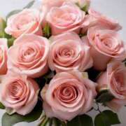 ヒメ日記 2025/05/30 20:02 投稿 美園りりか セカンドパートナー