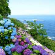 ヒメ日記 2025/06/05 09:26 投稿 美園りりか セカンドパートナー