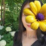 ヒメ日記 2025/06/18 12:04 投稿 美園りりか セカンドパートナー