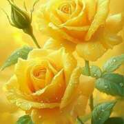 ヒメ日記 2025/08/17 06:16 投稿 美園りりか セカンドパートナー