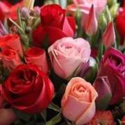 ヒメ日記 2025/08/17 11:21 投稿 美園りりか セカンドパートナー