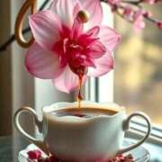 ヒメ日記 2025/09/09 03:10 投稿 美園りりか セカンドパートナー