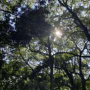 ヒメ日記 2025/08/15 15:23 投稿 りお 広島回春性感マッサージ倶楽部