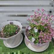 ヒメ日記 2025/06/27 20:54 投稿 いずみ 美熟女倶楽部Hip's 春日部店