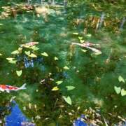 ヒメ日記 2025/09/02 17:59 投稿 裕子(ゆうこ) チューリップ宇都宮店