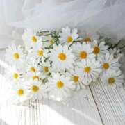 比嘉 愛未 出勤予定 熟女・人妻マダム宮殿