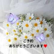 比嘉 愛未 出勤予定 熟女・人妻マダム宮殿