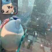 せり ⭐️ レモンカフェ