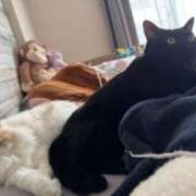 ヒメ日記 2025/10/17 16:30 投稿 ゆあ JAPAN CLUB BUNNY LOUNGE