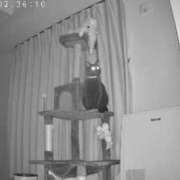 ヒメ日記 2025/10/18 10:30 投稿 ゆあ JAPAN CLUB BUNNY LOUNGE