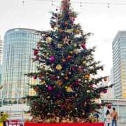 ヒメ日記 2025/11/19 01:36 投稿 ゆあ JAPAN CLUB BUNNY LOUNGE