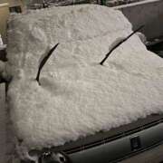 ヒメ日記 2025/12/09 22:20 投稿 ゆあ JAPAN CLUB BUNNY LOUNGE