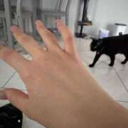 ヒメ日記 2025/12/14 14:02 投稿 ゆあ JAPAN CLUB BUNNY LOUNGE