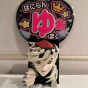 ヒメ日記 2025/12/23 19:30 投稿 ゆあ JAPAN CLUB BUNNY LOUNGE