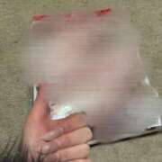 ヒメ日記 2025/12/30 20:48 投稿 ゆあ JAPAN CLUB BUNNY LOUNGE