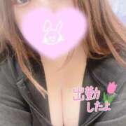 ヒメ日記 2025/08/06 23:52 投稿 もか 人妻熟女奉仕倶楽部