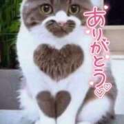 ヒメ日記 2025/06/26 20:57 投稿 宮本★ プリマドンナ