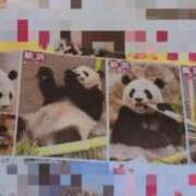 ヒメ日記 2025/06/28 09:41 投稿 宮本★ プリマドンナ