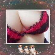 ヒメ日記 2025/07/21 16:37 投稿 宮本★ プリマドンナ