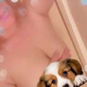 ヒメ日記 2025/08/15 07:07 投稿 宮本★ プリマドンナ