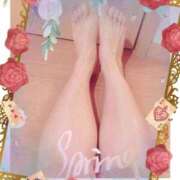 ヒメ日記 2025/11/09 07:27 投稿 宮本★ プリマドンナ