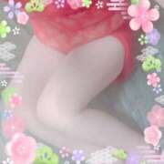 ヒメ日記 2025/11/14 09:47 投稿 宮本★ プリマドンナ