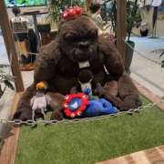 高園 ひまり 万博だーっ🎶 ハプニングランド