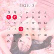 ヒメ日記 2026/02/19 19:38 投稿 星　さやか 川崎南町人妻高級ソープ エル・カーヒル(ELCURHIL)秘密の刻