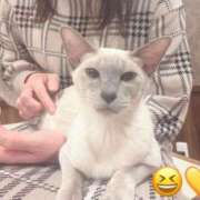 ヒメ日記 2025/06/03 15:00 投稿 まりあ 高知デリヘル倶楽部 人妻熟女専門店