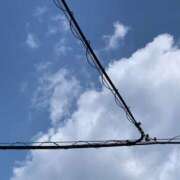 ヒメ日記 2025/06/05 13:00 投稿 まりあ 高知デリヘル倶楽部 人妻熟女専門店