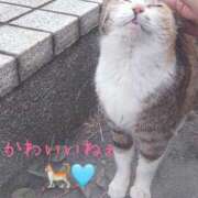 ヒメ日記 2025/06/06 13:00 投稿 まりあ 高知デリヘル倶楽部 人妻熟女専門店