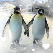 ヒメ日記 2025/07/23 13:01 投稿 まりあ 高知デリヘル倶楽部 人妻熟女専門店