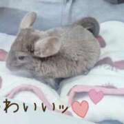 ヒメ日記 2025/07/31 21:56 投稿 まりあ 高知デリヘル倶楽部 人妻熟女専門店