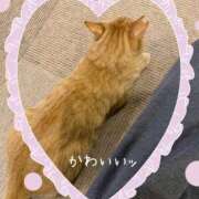 ヒメ日記 2025/08/18 16:00 投稿 まりあ 高知デリヘル倶楽部 人妻熟女専門店